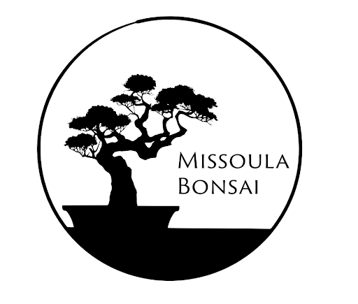 Missoula Bonsai